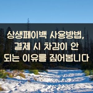 상생페이백 사용방법, 결제 시 차감이 안 되는 이유를 짚어봅니다 상생페이백 사용방법, 결제 시 차감이 안 되는 이유를 짚어봅니다