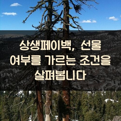 상생페이백, 선물 여부를 가르는 조건을 살펴봅니다