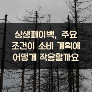 상생페이백, 주요 조건이 소비 계획에 어떻게 작용할까요?