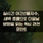실시간 야간선물지수, 새벽 흐름으로 다음날 방향을 읽는 핵심 관전 포인트