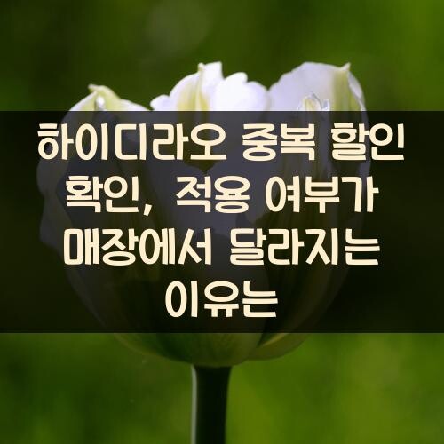 하이디라오 중복 할인 확인, 적용 여부가 매장에서 달라지는 이유는?