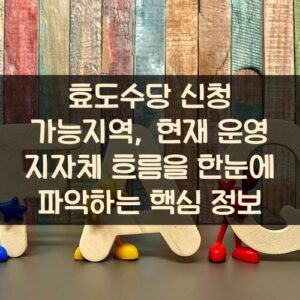 효도수당 신청 가능지역, 현재 운영 지자체 흐름을 한눈에 파악하는 핵심 정보