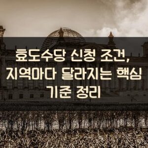 효도수당 신청 조건, 지역마다 달라지는 핵심 기준 정리