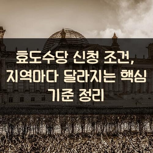 효도수당 신청 조건, 지역마다 달라지는 핵심 기준 정리