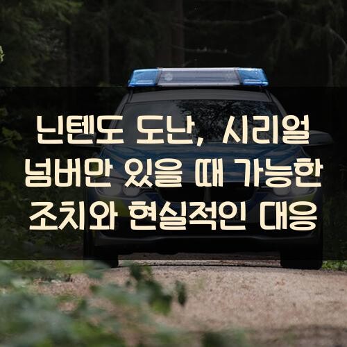 닌텐도 도난, 시리얼 넘버만 있을 때 가능한 조치와 현실적인 대응