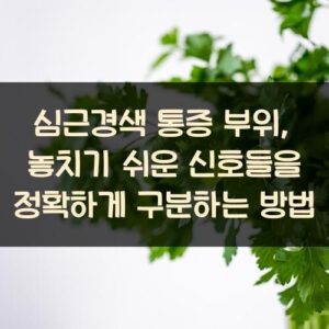 심근경색 통증 부위, 놓치기 쉬운 신호들을 정확하게 구분하는 방법