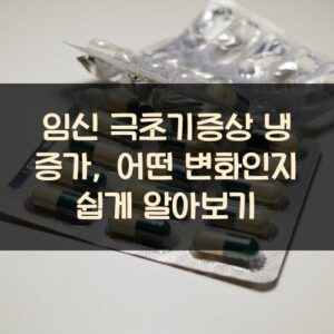 임신 극초기증상 냉 증가, 어떤 변화인지 쉽게 알아보기
