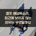 캡컷 애덤목소리, 최근에 보이지 않는 이유는 무엇일까요?