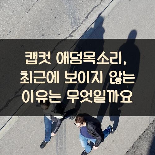 캡컷 애덤목소리, 최근에 보이지 않는 이유는 무엇일까요?