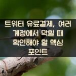트위터 유료결제, 여러 계정에서 막힐 때 확인해야 할 핵심 포인트