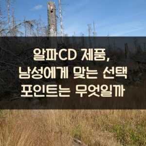 알파CD 제품, 남성에게 맞는 선택 포인트는 무엇일까