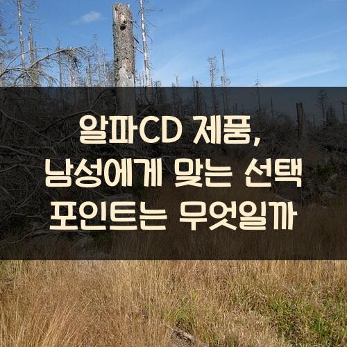 알파CD 제품, 남성에게 맞는 선택 포인트는 무엇일까
