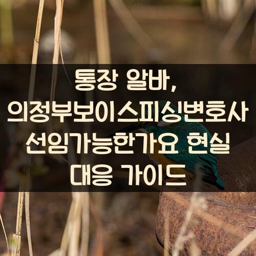 통장 알바, 의정부보이스피싱변호사 선임가능한가요 현실 대응 가이드