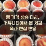 램 가격 상승 디시, 커뮤니티에서 본 체감 폭과 현실 반응