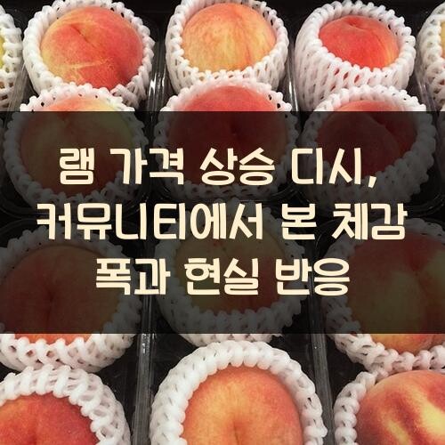 램 가격 상승 디시, 커뮤니티에서 본 체감 폭과 현실 반응