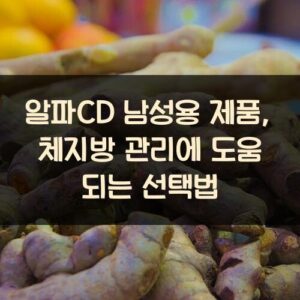 알파CD 남성용 제품, 체지방 관리에 도움 되는 선택법
