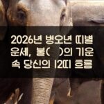 2026년 병오년 띠별 운세, 불(火)의 기운 속 당신의 12띠 흐름
