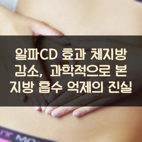 알파CD 효과 체지방 감소, 과학적으로 본 지방 흡수 억제의 진실