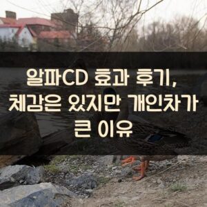 알파CD 효과 후기, 체감은 있지만 개인차가 큰 이유