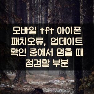 모바일 tft 아이폰 패치오류, 업데이트 확인 중에서 멈출 때 점검할 부분