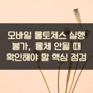 모바일 롤토체스 실행 불가, 롤체 안될 때 확인해야 할 핵심 점검