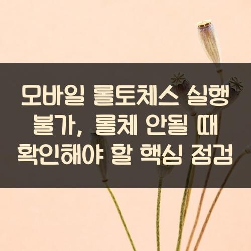 모바일 롤토체스 실행 불가, 롤체 안될 때 확인해야 할 핵심 점검