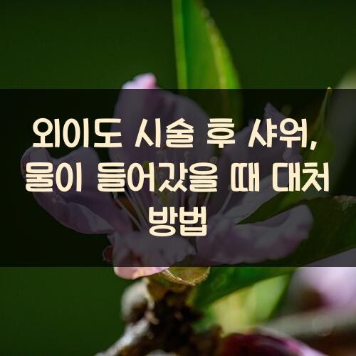 외이도 시술 후 샤워, 물이 들어갔을 때 대처 방법