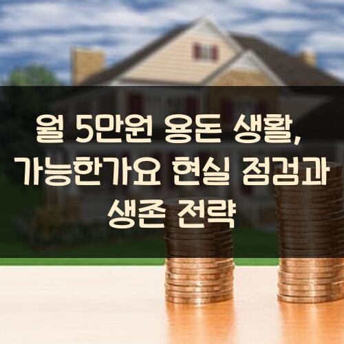 월 5만원 용돈 생활, 가능한가요? 현실 점검과 생존 전략