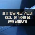 초기 반응 체크 위고비 효과, 첫 4주의 몸 변화 살펴보기