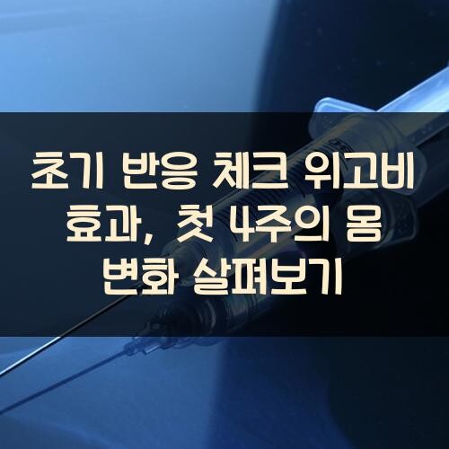 초기 반응 체크 위고비 효과, 첫 4주의 몸 변화 살펴보기