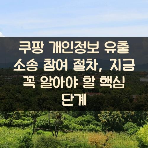 쿠팡 개인정보 유출 소송 참여 절차, 지금 꼭 알아야 할 핵심 단계