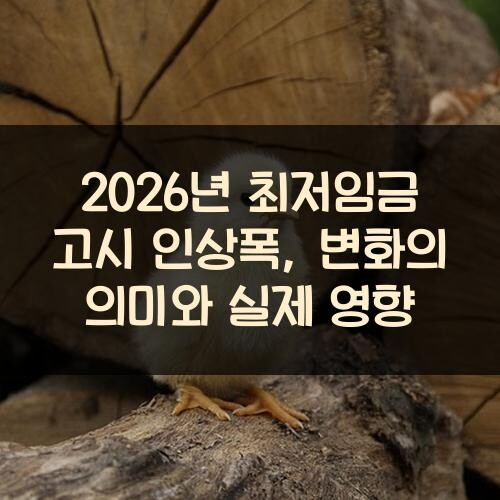 2026년 최저임금 고시 인상폭, 변화의 의미와 실제 영향