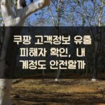 쿠팡 고객정보 유출 피해자 확인, 내 계정도 안전할까