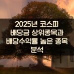 2025년 코스피 배당금 상위종목과 배당수익률 높은 종목 분석 2 2025년 코스피 배당금 상위종목과 배당수익률 높은 종목 분석