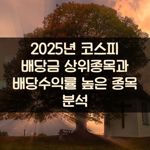 2025년 코스피 배당금 상위종목과 배당수익률 높은 종목 분석
