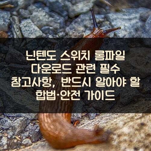 닌텐도 스위치 롬파일 다운로드 관련 필수 참고사항, 반드시 알아야 할 합법·안전 가이드