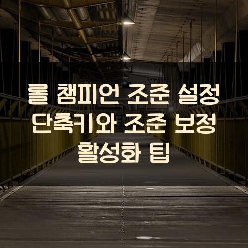 롤 챔피언 조준 설정 단축키와 조준 보정 활성화 팁