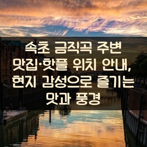 속초 금직곡 주변 맛집·핫플 위치 안내, 현지 감성으로 즐기는 맛과 풍경