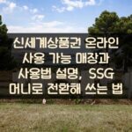 신세계상품권 온라인 사용 가능 매장과 사용법 설명, SSG 머니로 전환해 쓰는 법