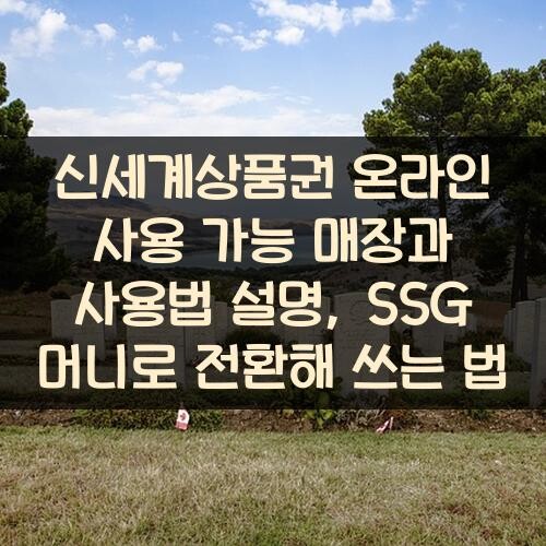 신세계상품권 온라인 사용 가능 매장과 사용법 설명, SSG 머니로 전환해 쓰는 법