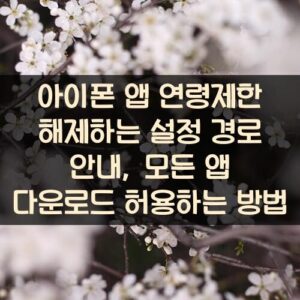 아이폰 앱 연령제한 해제하는 설정 경로 안내, 모든 앱 다운로드 허용하는 방법