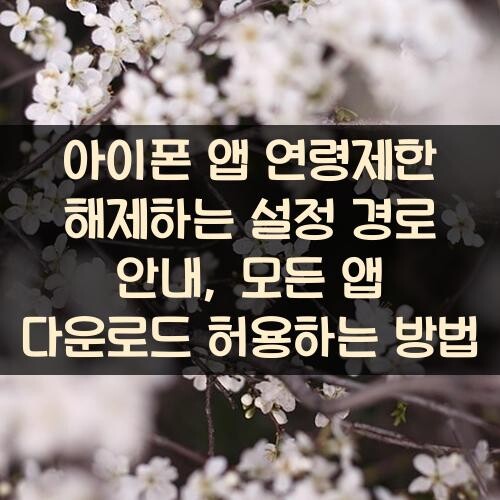 아이폰 앱 연령제한 해제하는 설정 경로 안내, 모든 앱 다운로드 허용하는 방법