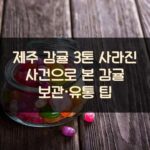 제주 감귤 3톤 사라진 사건으로 본 감귤 보관·유통 팁
