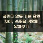 짜친다 말뜻 기분 표현 차이, 속뜻을 정확히 알아보기