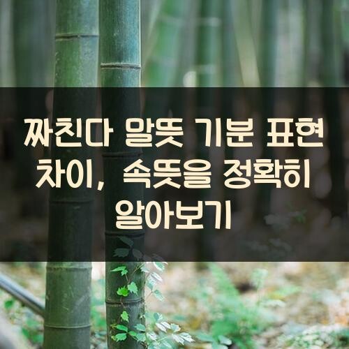 짜친다 말뜻 기분 표현 차이, 속뜻을 정확히 알아보기