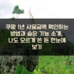 쿠팡 1년 사용금액 확인하는 방법과 숨은 기능 소개, 나도 모르게 쓴 돈 한눈에 보기 1 쿠팡 1년 사용금액 확인하는 방법과 숨은 기능 소개, 나도 모르게 쓴 돈 한눈에 보기