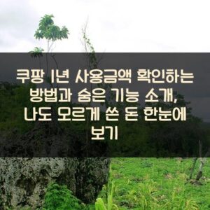 쿠팡 1년 사용금액 확인하는 방법과 숨은 기능 소개, 나도 모르게 쓴 돈 한눈에 보기