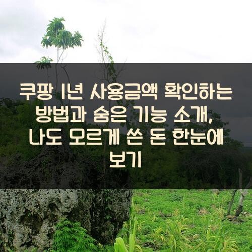 쿠팡 1년 사용금액 확인하는 방법과 숨은 기능 소개, 나도 모르게 쓴 돈 한눈에 보기
