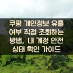 쿠팡 개인정보 유출 여부 직접 조회하는 방법, 내 계정 안전 상태 확인 가이드 1 쿠팡 개인정보 유출 여부 직접 조회하는 방법, 내 계정 안전 상태 확인 가이드