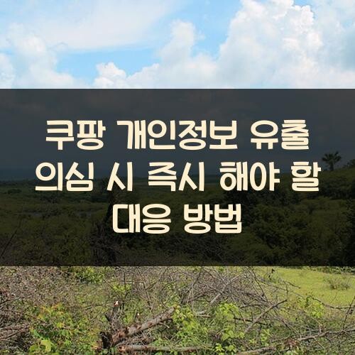 쿠팡 개인정보 유출 의심 시 즉시 해야 할 대응 방법